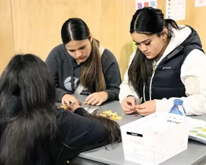 steps to success classroom_A