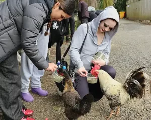 steps to success farm park_A